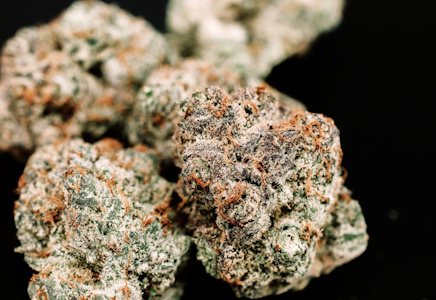 420kingdom - Glazed Apricot Gelato - 1/8th