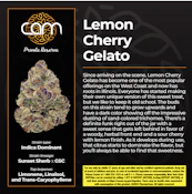 CAM - Lemon Cherry Gelato - Flower - 7g