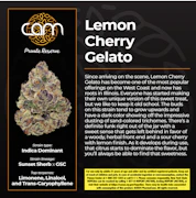 CAM - Lemon Cherry Gelato - Flower - 7g