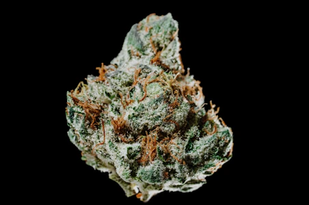 420 KINGDOM - Cherry Cheesecake - 28g Bundle (8-1/8oz) - 420K