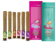 Paletas 1.5g Blunt | Lime OG