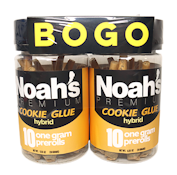 Noah's Premium BOGO Cookie Glue Prerolls 2pk (H) 10g