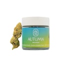 Autumn Brands Smalls 7g Lemon Tree