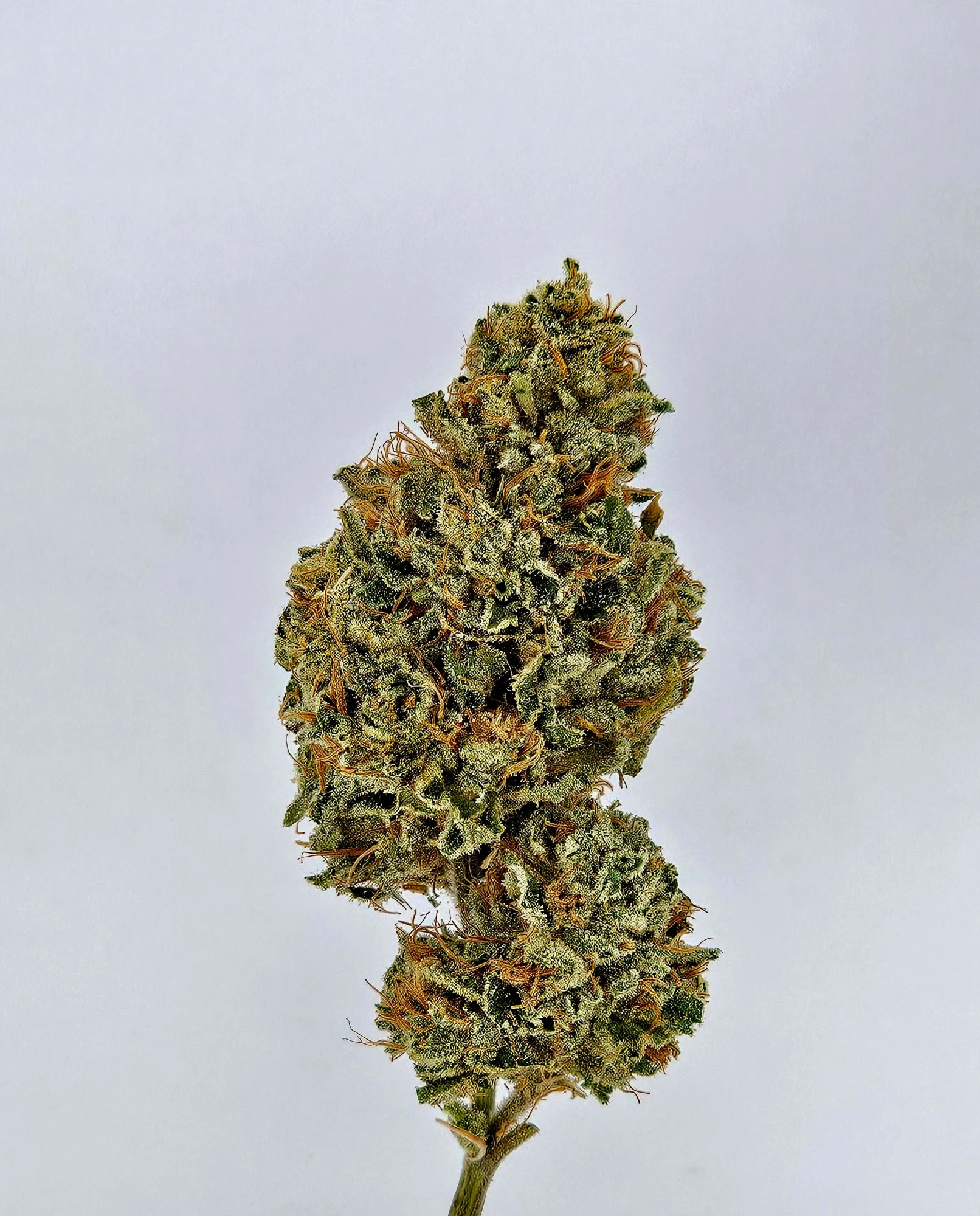 Alien Apple Kush harvested flower, as labeled by the cited photo source