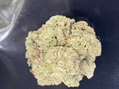 GHT FARMS LLC - Rainbow Chip - Deli Flower
