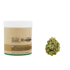 High Supply - 14g 92 OG (Indoor) - High Supply