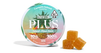 Plus - Island Maui Haze Solventless Hash Sativa Gummies - 100mg
