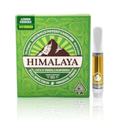 Lemon Biscotti - 1g (H) - Himalaya