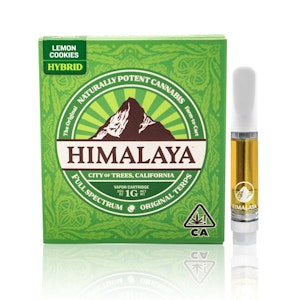 Chocolatina - 1g (H) - Himalaya