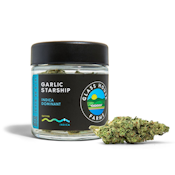 GHF | GARLIC STARSHIP | FLOWER | 3.5G