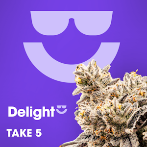 Delight - [REC] Delight | Take 5 | 3.5g Flower