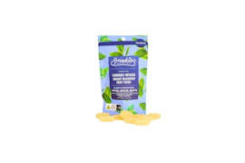 Smokiez | Sweet Dreamy Blueberry | Sleep + Recover | THC:CBG:CBN - 1:1:1  | 10 piece  | 100mg