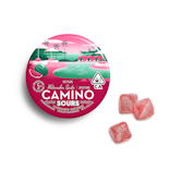 100mg THC Uplifting Sour Watermelon Spritz Gummies (10mg - 10 pack) - Camino