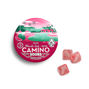 Camino Gummies - 100mg THC Uplifting Sour Watermelon Spritz Gummies (10mg - 10 pack) - Camino