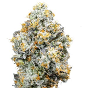 ALIEN LABS - Alien Labs CLASSICS Baklava Flower (H) 3.5g