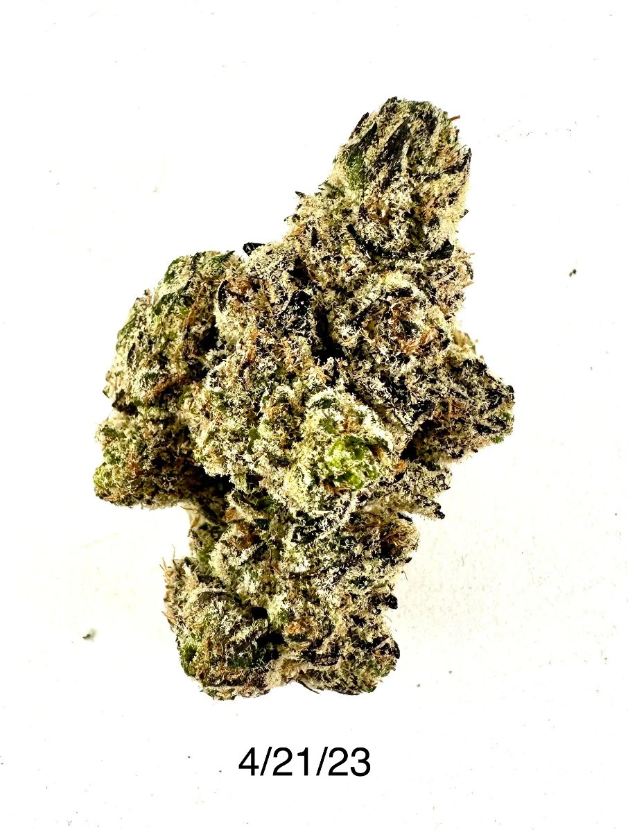 PROHIBITION 37 - P37 - Stay Puf't Main Image