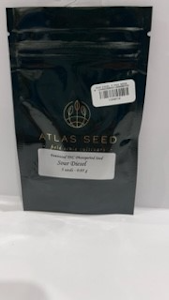 Atlas Seeds - Sour Diesel 5 pack seeds - Atlas Seeds