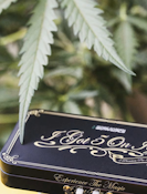 [REC] Magic Garden Botanicals | Candy Marker | 3.5g/5pk Infused