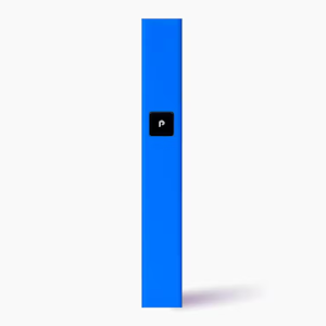 PLUGPLAY - Plug Play - Battery - Blue Steel