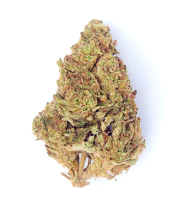 SONOMA HILLS FARM - Grandi Guava - 3.5g (H) - SHF