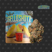 Gello Shotz - 3.5g (S) - Seed Junky