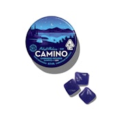 Camino Midnight Blueberry Gummies [20 ct]