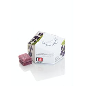 WYLD - Wyld 100mg | Marionberry