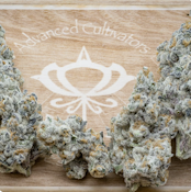 Boca Seca - 3.5g