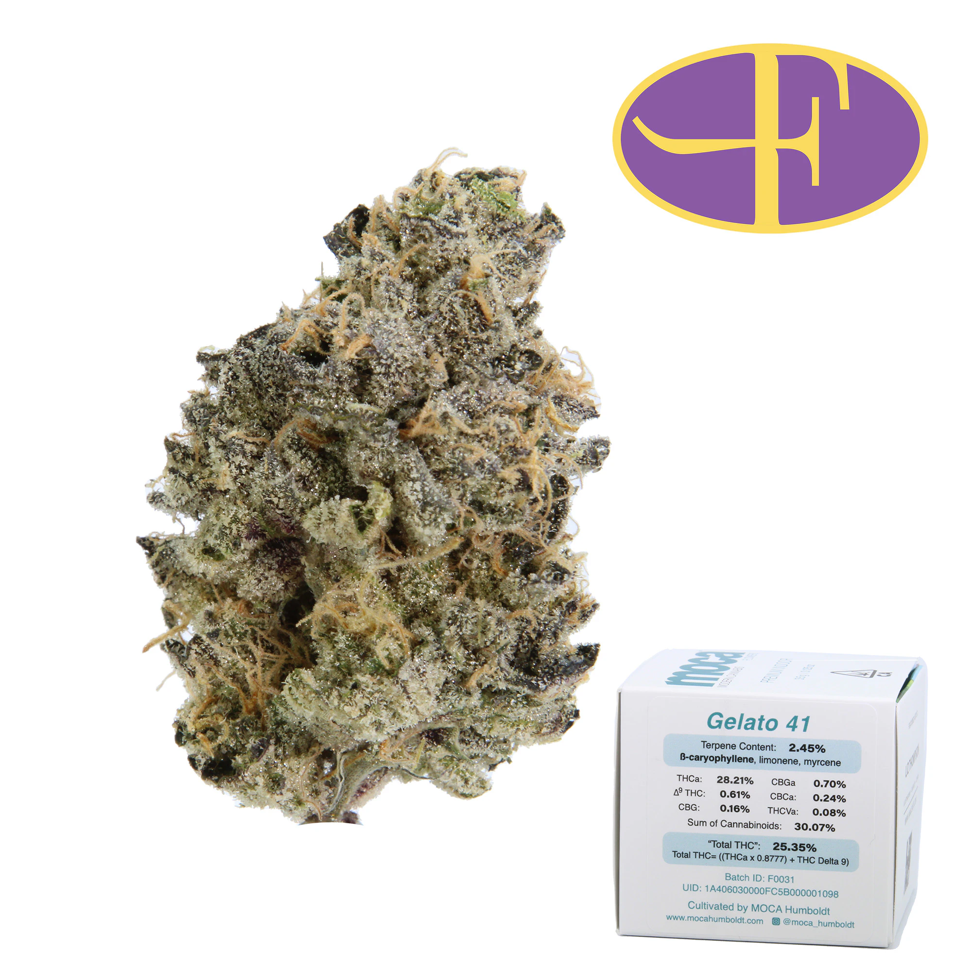 Moca - Gelato 41 Main Image