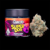  Connected -Super Dog -1/8th