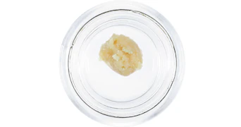 Pistil Whip - Banana Punch Live Rosin Badder - 1g