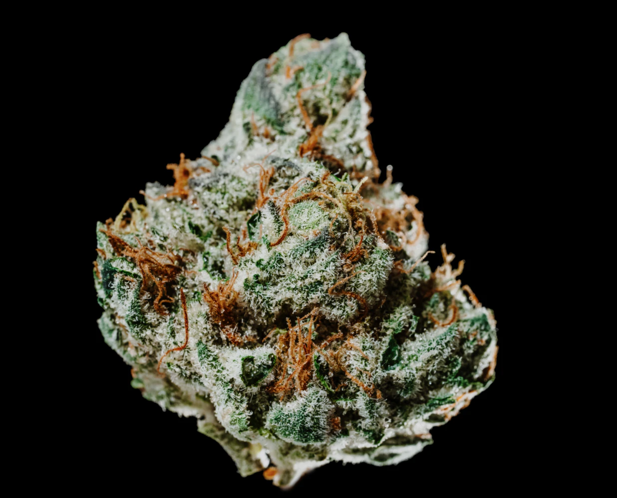 420 Kingdom - Cherry Cheesecake - 14g Smalls - 420K Main Image