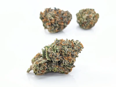 REUP FARMS - Bacio Gelato, B-buds, Indoor