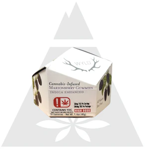 WYLD - WYLD | 300MG INDICA MARIONBERRY