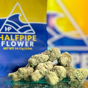 Halfpipe - 7g Jet Fuel Gelato 29% - Halfpipe Flower 