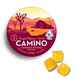 100mg THC Uplifting Pineapple Habanero Gummies (5mg - 20 pack) - Camino