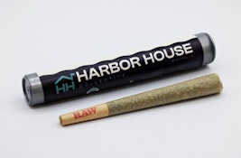 Runtz - 0.5g - Harbor House