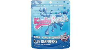 Kushy Punch - Blue Raspberry Gummies - 100mg