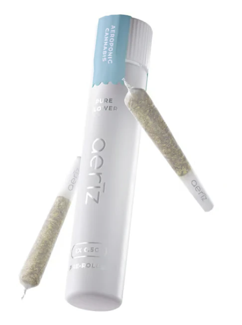 Aeriz - Wedding Cake 2pk Nug Rolls - 1g Main Image
