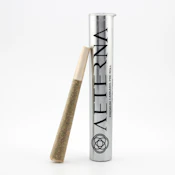 Candy Gelato 1g Pre-Roll