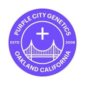 Bomb 415 - 6pk - Feminized Seeds - Purple City Genetics