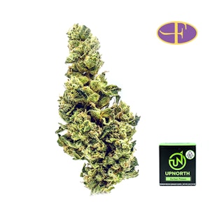 UpNorth - Durban Poison