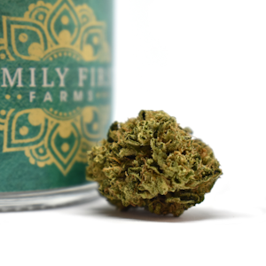 Family First Farms - Family First Farms Apple Fritterz 14g Bag