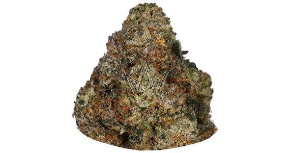 THE CURE COMPANY - The Cure Company - White Runtz - 3.5g