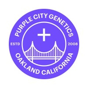 PURPLE CITY GENETICS - Moroccan Peaches - (H) - Purple City Genetics