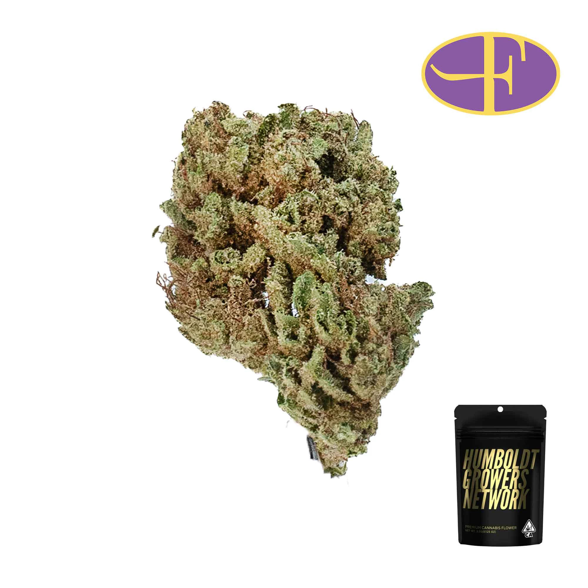 Humboldt Growers Network - Durban CBD Main Image