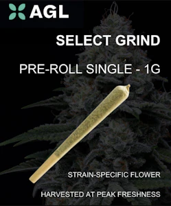 AGL - AGL 1g Pre Roll Bubba F (I) 00577