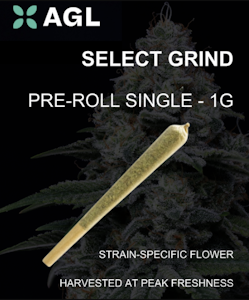 AGL - AGL 1g Select Grind Pre Roll Slapz (H) 00567