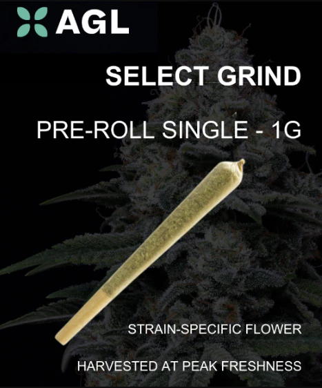 AGL - AGL 1g Pre Roll B Scout (I) 01018 Main Image