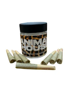 Animal House - ANIMAL HOUSE | Notorious Cherry |7 Pk Kief Infused Prerolls